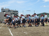 写真　運動会
