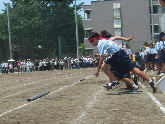写真　運動会