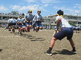 写真　運動会