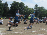 写真　運動会
