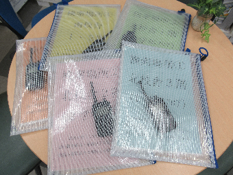 写真　避難訓練