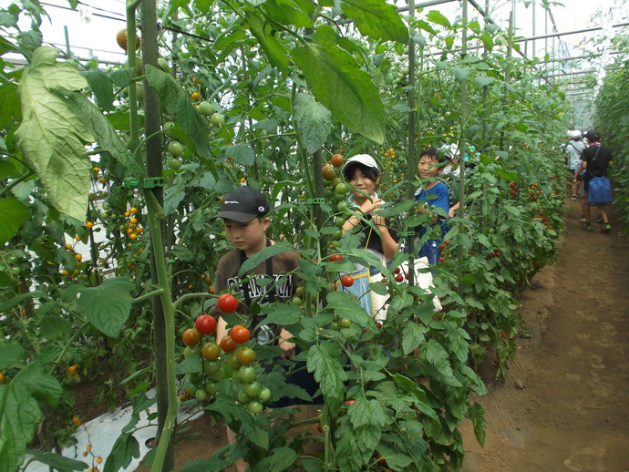 0626_nouenkengaku1_3