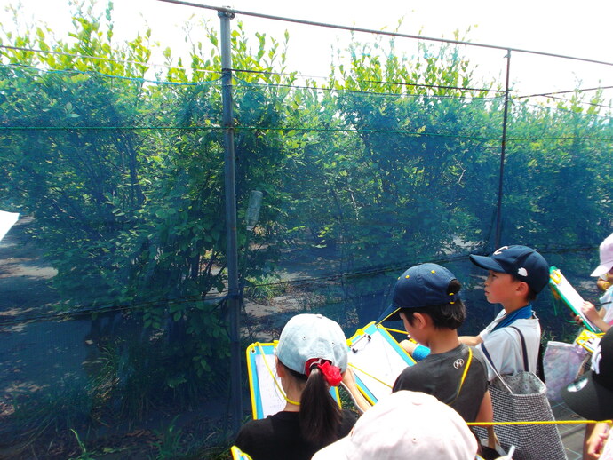 0626_nouenkengaku3_3