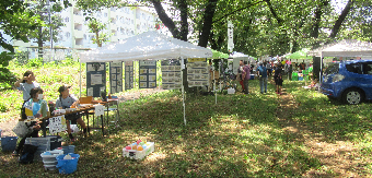 写真 かわまつり