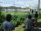 写真 野球部大会