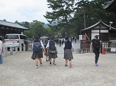 写真　修学旅行