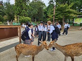 写真　修学旅行