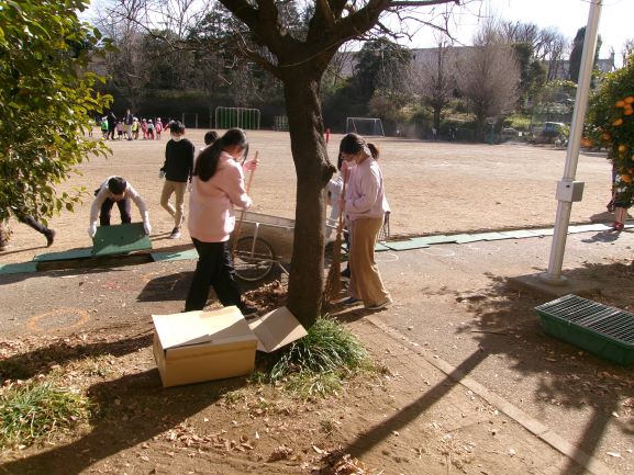 きれいになりました。