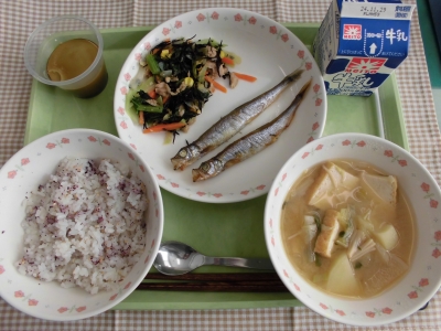 給食