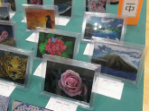 写真　美術展