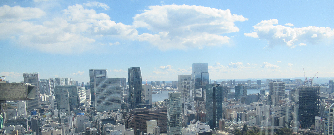 写真　校外学習