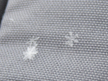 写真 スキー教室