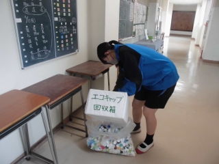 エコキャップ回収