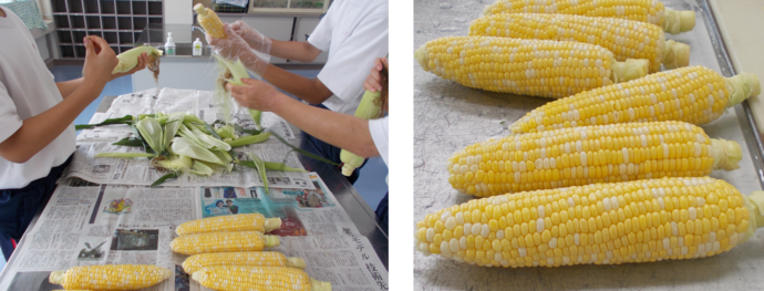 とうもろこし調理写真