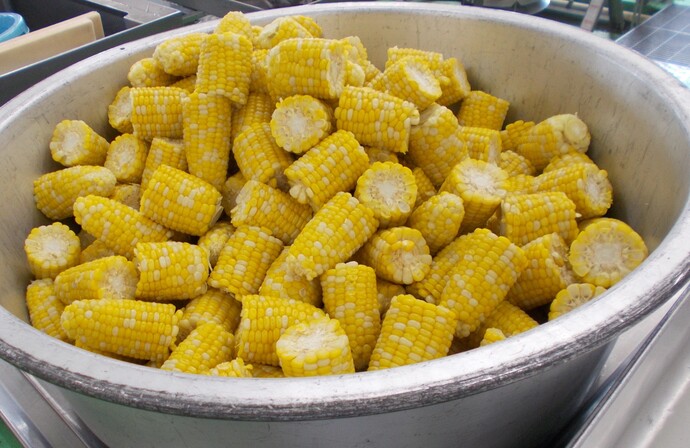 とうもろこし茹で上がり写真