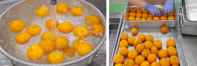 冷凍みかん写真