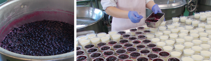 ヨーグルトかん調理写真