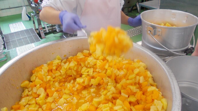 フルーツのヨーグルトかけ