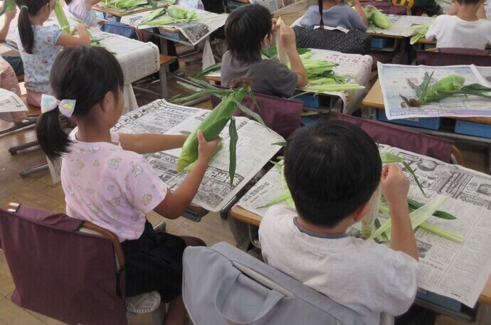 6月30日 トウモロコシ皮むき 1年生