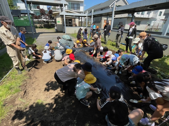 6月5日(木曜日)芋の苗植え