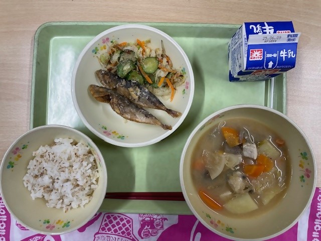 給食