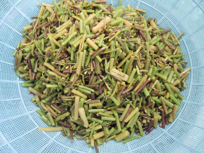 うどんに入れる前の山菜