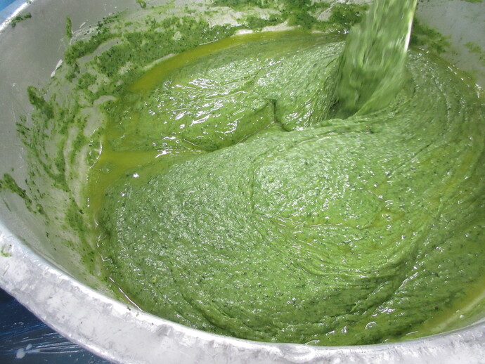 ビスキュイ生地