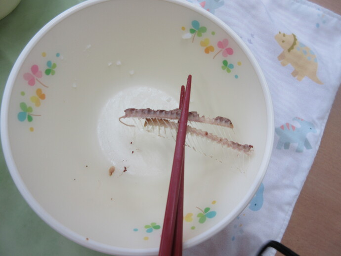 きれいに身を食べた後のさんまの骨