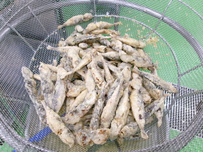 揚がった豆鰺の様子