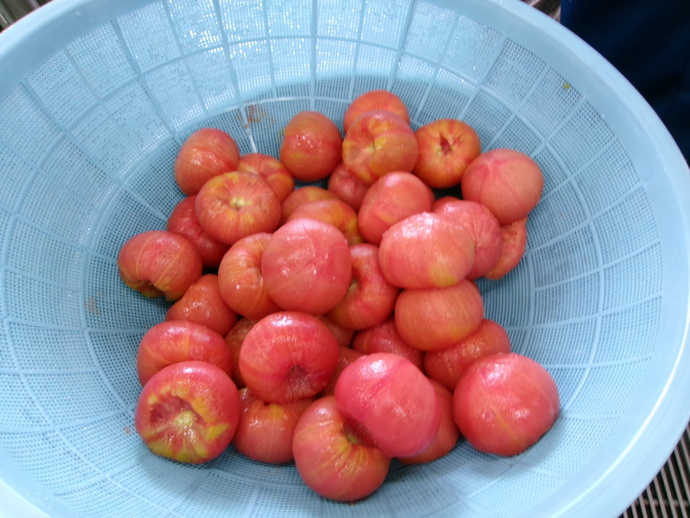 湯むきしたトマトの写真