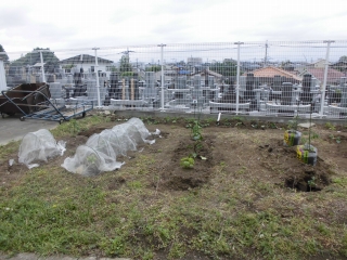 校内菜園