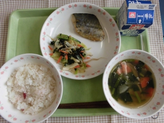 給食