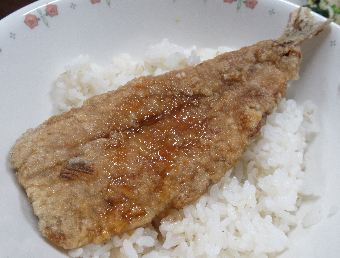 写真 給食
