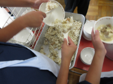 写真　給食