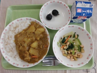 給食