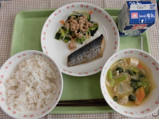 給食
