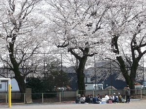 hanami1