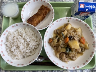 給食