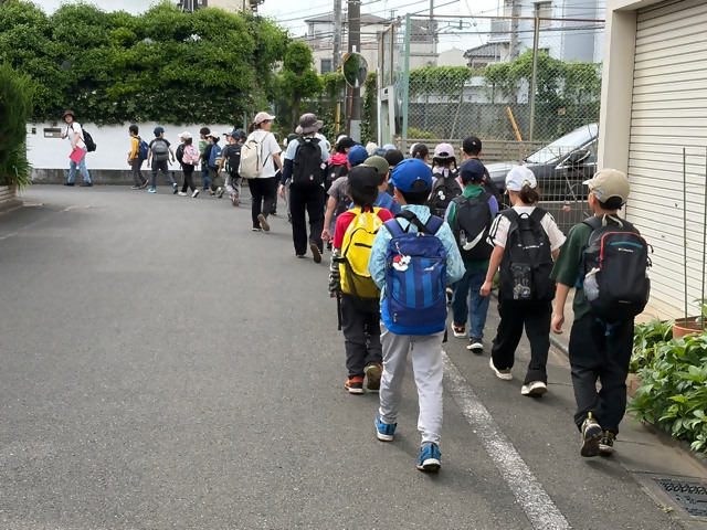 しば