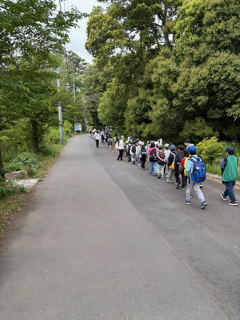 しば