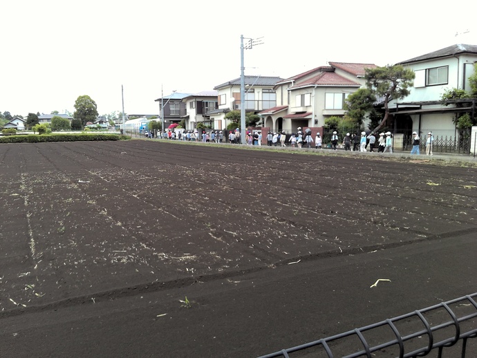 しば
