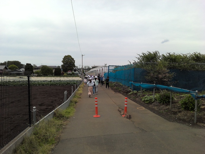 しば