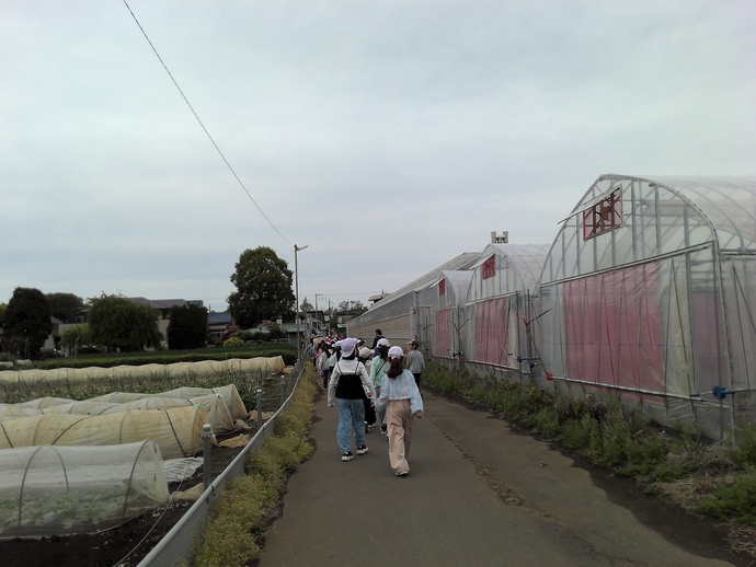 しば