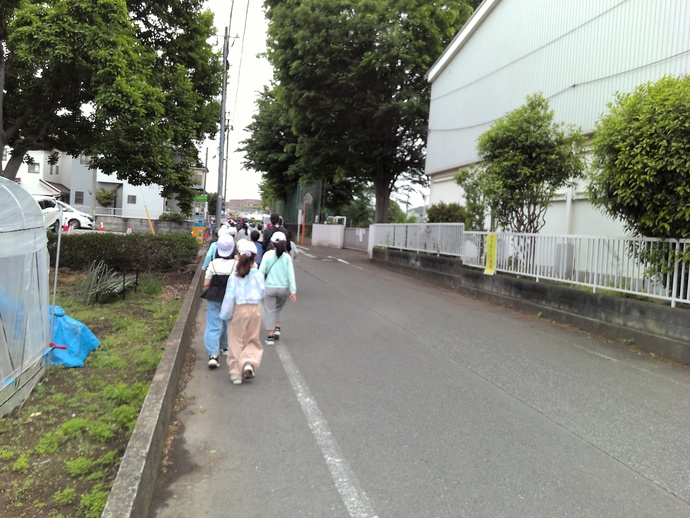 しば