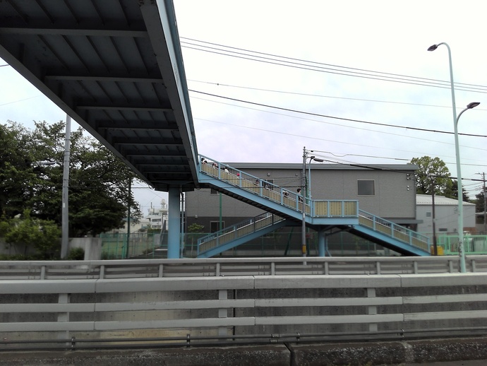 しば