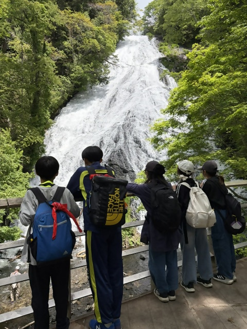 しば