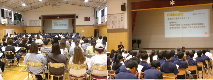 6.13