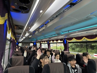 bus