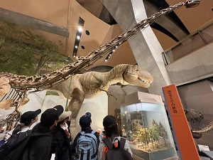 museum1