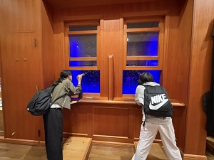 museum3